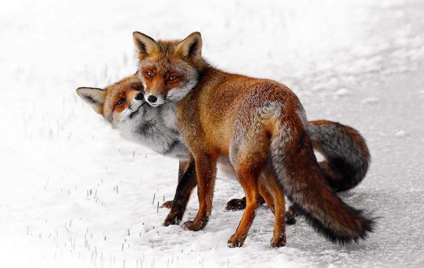 男默女泪系列完整版,男默女泪哪部电视剧好看