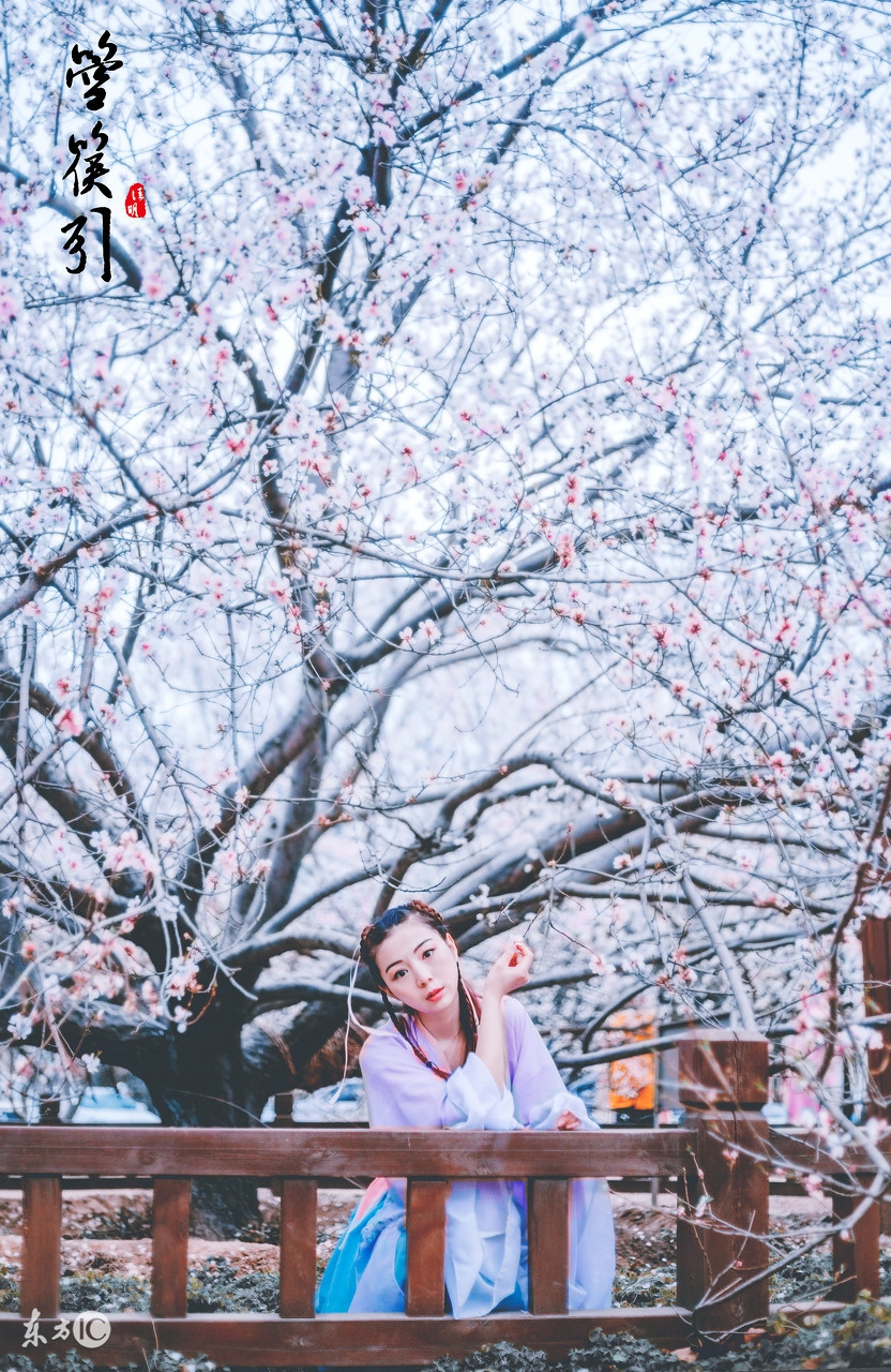 道德经最可怕的一句话曾仕强,老子道德经倒着背