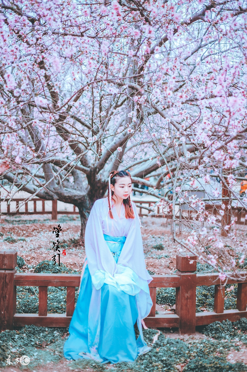 道德经最可怕的一句话曾仕强,老子道德经倒着背