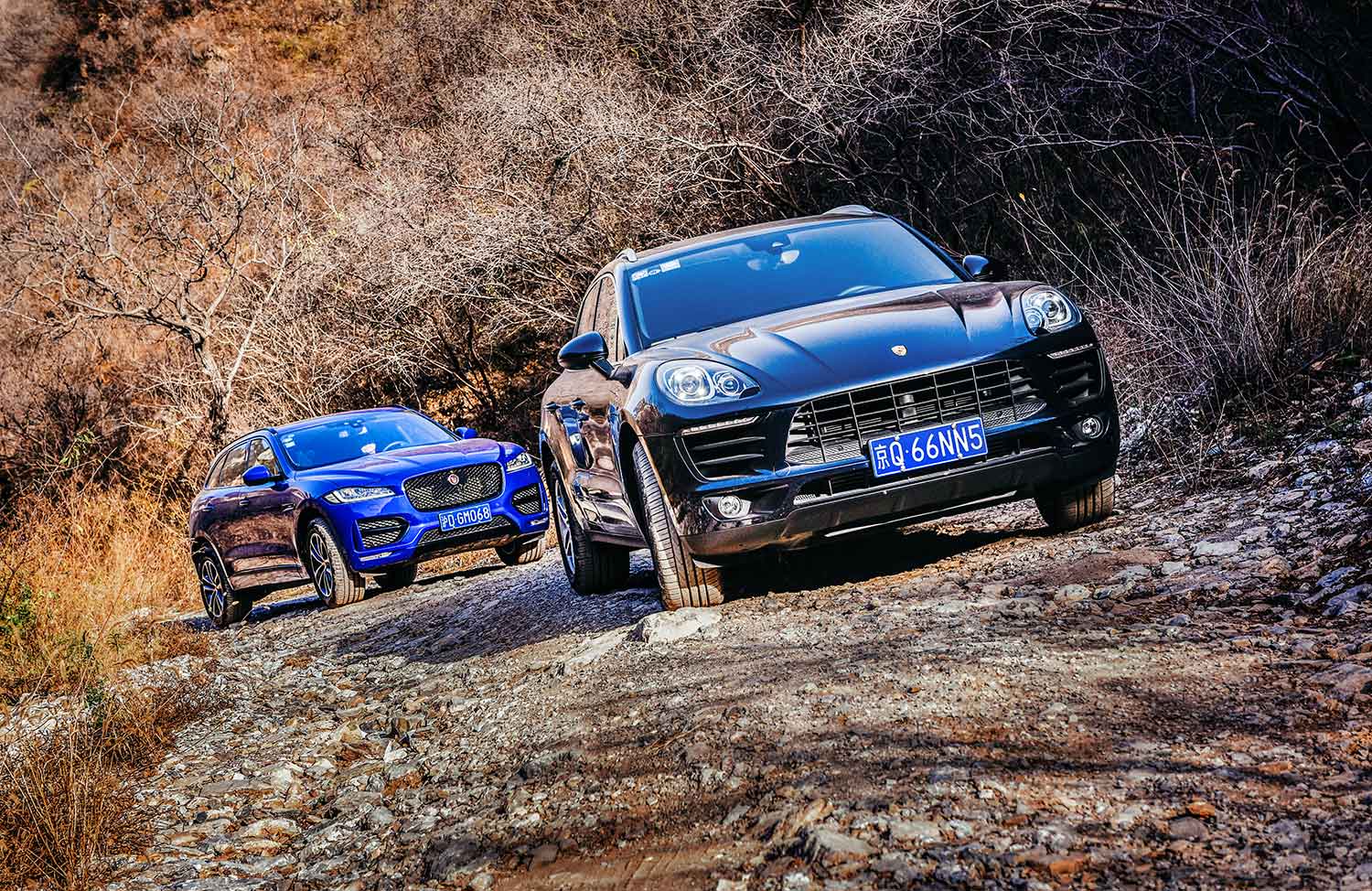 保时捷macan对比捷豹fpace2021款,保时捷macan路虎揽胜星脉捷豹f-pace