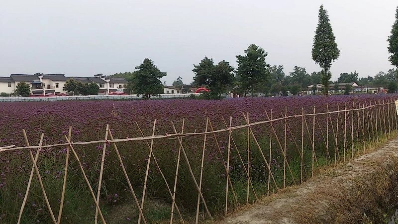郫都区附近的农家乐和休闲农庄,郫都妈妈农庄照片