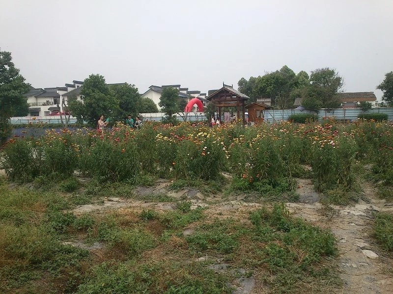 郫都区附近的农家乐和休闲农庄,郫都妈妈农庄照片