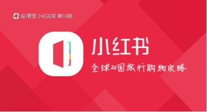 小红书哪种领域最容易火,小红书到底靠什么火