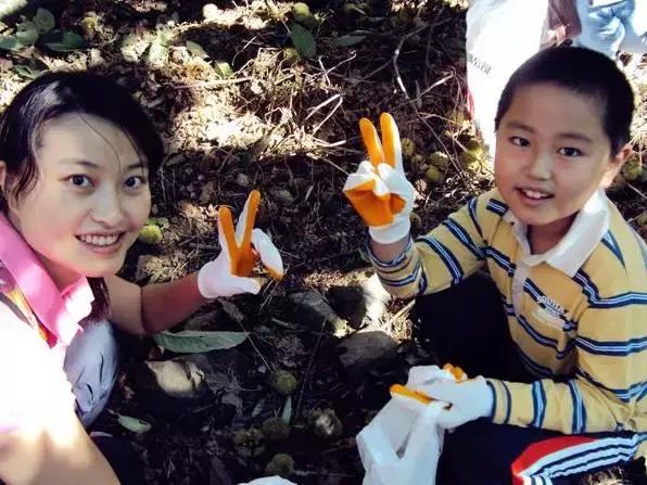 板栗树林旅游攻略,陕西板栗之乡风景图