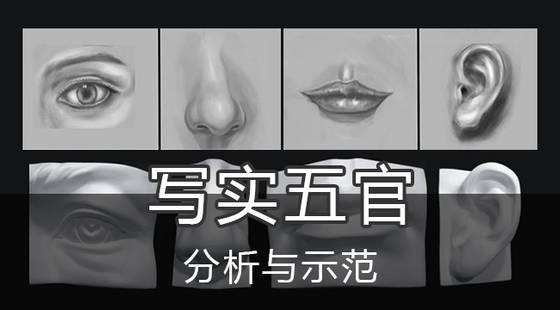 超认真的小白绘画教程你学会了吗,从零开始基础绘画教程