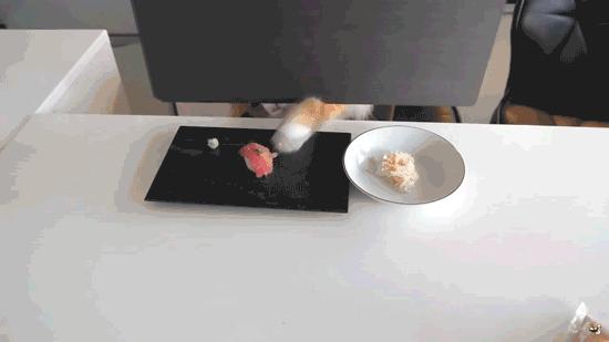 小巧强大的视频剪辑软件Vegas入门使用教程鬼畜视频必备软件