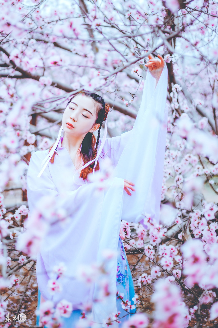 道德经最可怕的一句话曾仕强,老子道德经倒着背