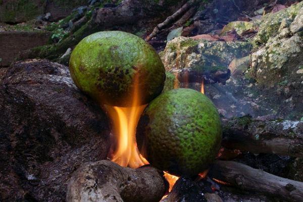 阿刚美食记,阿刚美食家常菜