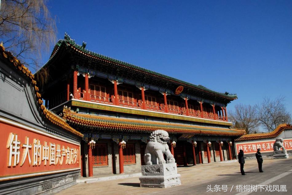 墓摆石狮子与家摆区别,石狮摆放门口惹众怒