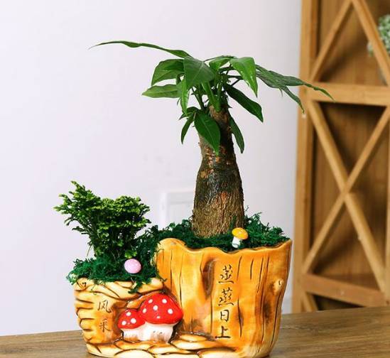 闺蜜新房子入住送挂件,闺蜜装修房子送什么好