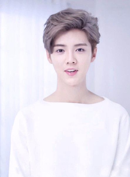 鹿晗是多久退出exo,exo四子综艺