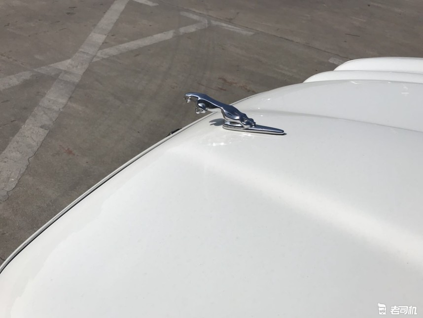 四眼捷豹xj3.0四驱顶配版,捷豹xj8经典色