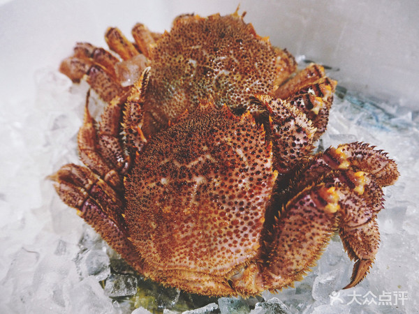 表白被拒的心，只有这家的海鲜刺身可以治愈