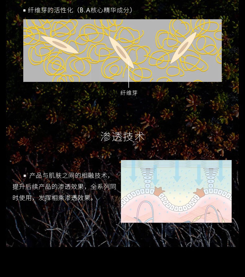 pola护肤品套装测评,日本高端化妆品品牌pola