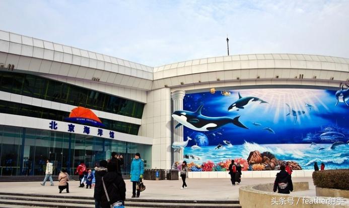 太平洋海洋馆和北京海洋馆哪个好,北京海洋馆和上海海昌海洋馆