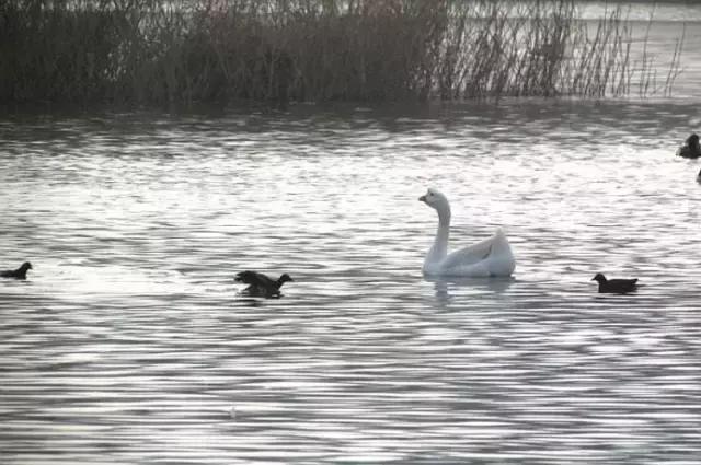 济南有什么好玩的风景区,济南小众文艺地方