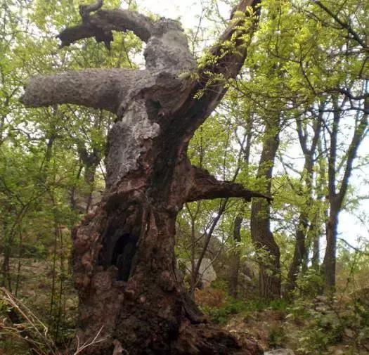 济南有什么好玩的风景区,济南小众文艺地方
