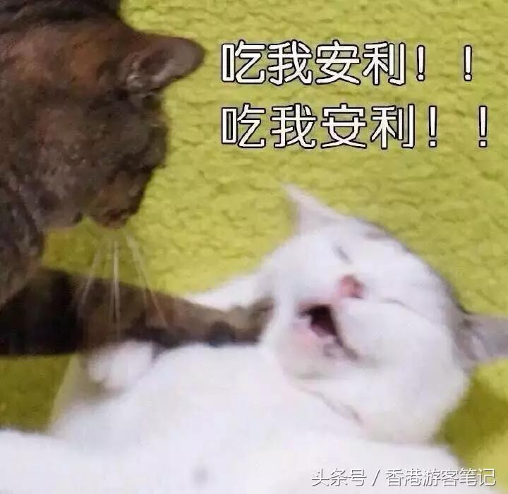 香港SOGO店庆排队都买不到的润唇膏，这里都有卖！史上最全！