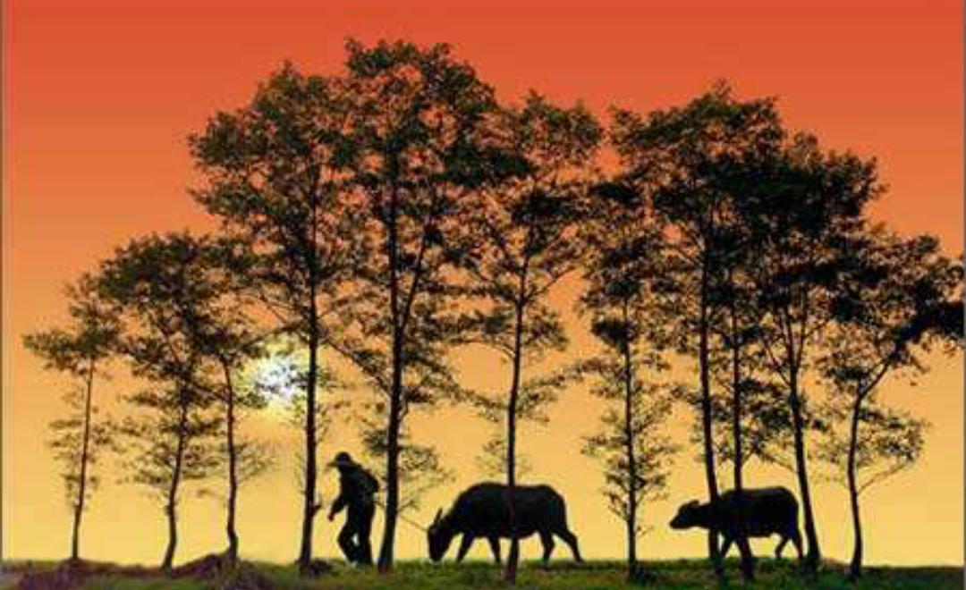 守株待兔新篇漫画,守株待兔内容待续