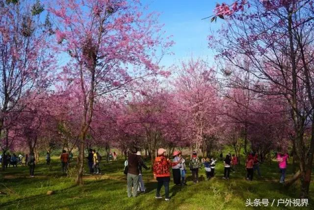 泰国自驾游要办哪些手续,泰国深度自驾线路推荐