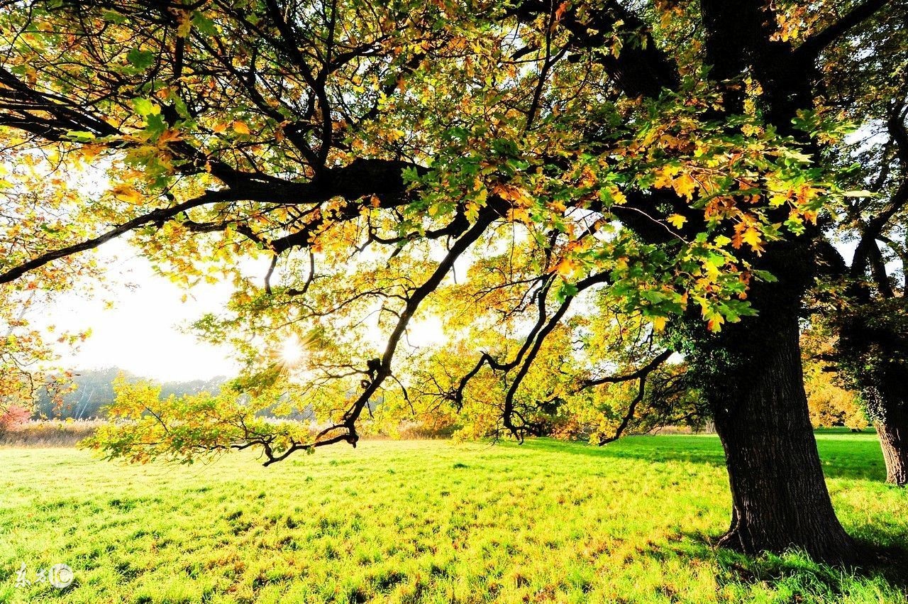 感恩节是一个感恩的日子,这个感恩节最深的感悟