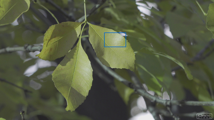 可拍4KHDR视频的手持摄像机1英寸CMOS索尼FDR-AX700摄像机评测