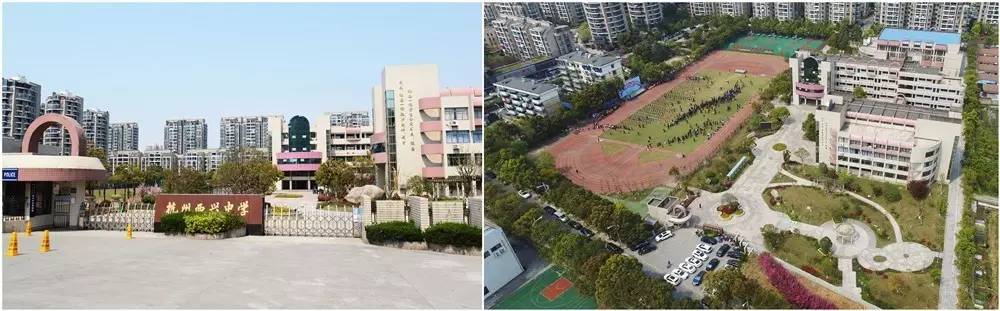 “国际滨欢迎您最佳策划奖暨空中看美丽学校”大赛开始了！