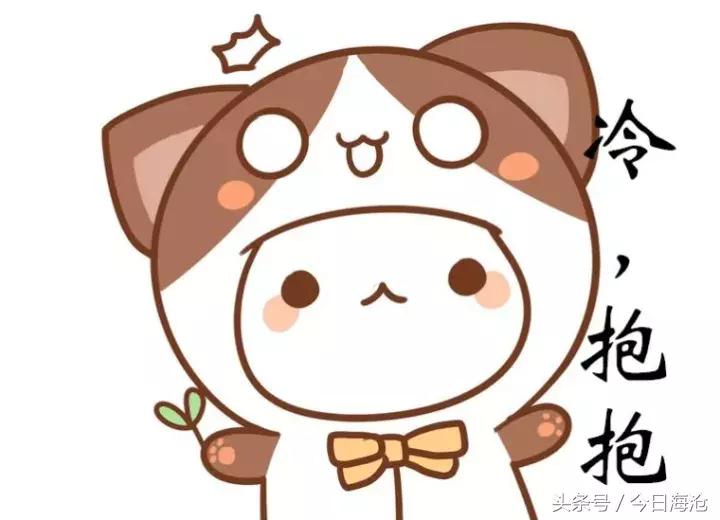 海沧半马攻略,厦门海沧半马参赛