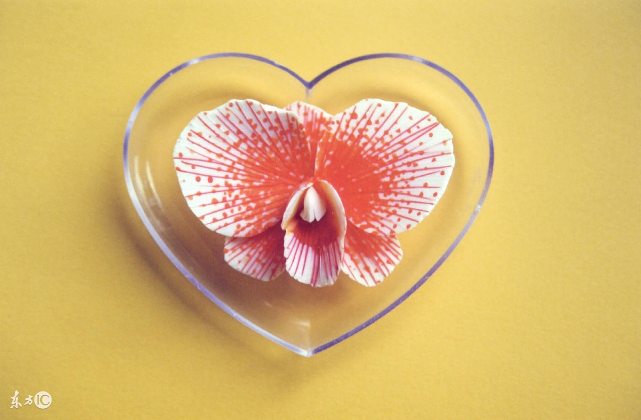 感恩节是一个感恩的日子,这个感恩节最深的感悟