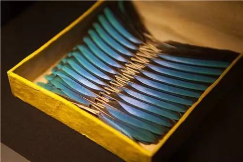 醉，是点翠那一抹蓝