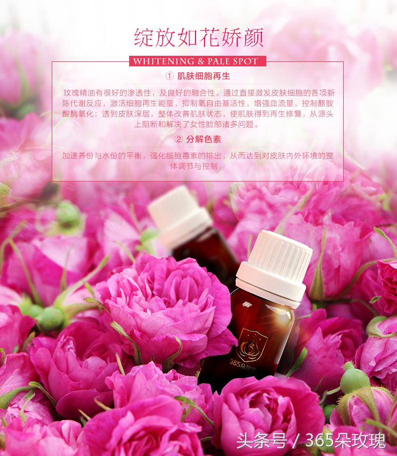 玫瑰花茶可以泡出精油吗女生,玫瑰花茶真的能泡出玫瑰精油吗