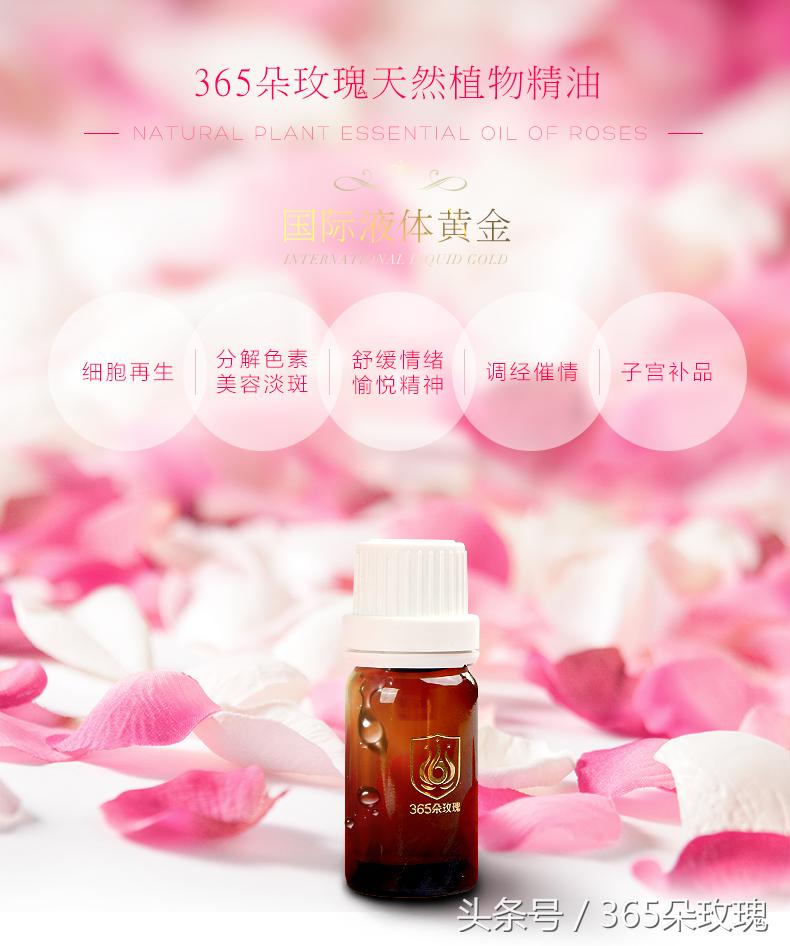 玫瑰花茶可以泡出精油吗女生,玫瑰花茶真的能泡出玫瑰精油吗