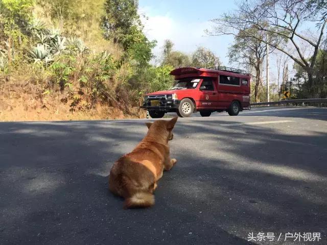 泰国自驾游要办哪些手续,泰国深度自驾线路推荐