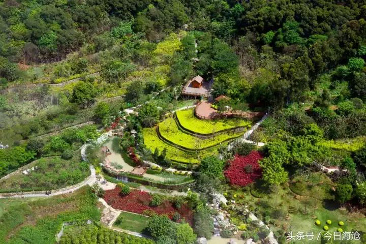 海沧半马攻略,厦门海沧半马参赛
