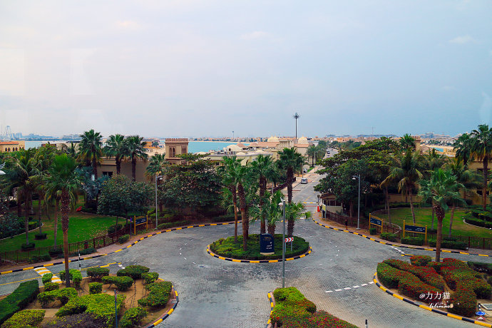 阿联酋：谁富有要看门口的树