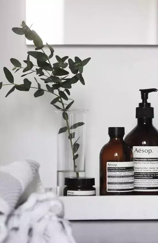 aesop哪里买比较好,什么值得买海外版