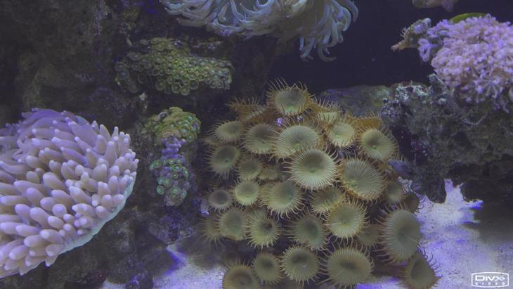 可拍4KHDR视频的手持摄像机1英寸CMOS索尼FDR-AX700摄像机评测