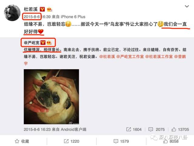 老婆买红薯都能上热搜，严宽为毛还不红？情商低在哪儿都不好混啊