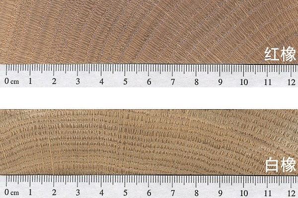 白橡木和红橡木白蜡木哪个好,北美白橡木和红橡木的区别