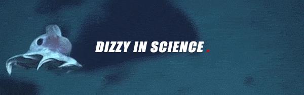 章鱼哥智商逆天,章鱼哥的智商退化视频