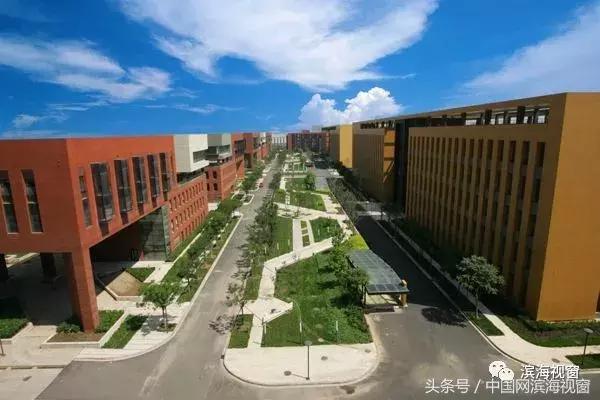 每年10亿元！来滨海新区这工作的有福了！全天津都羡慕