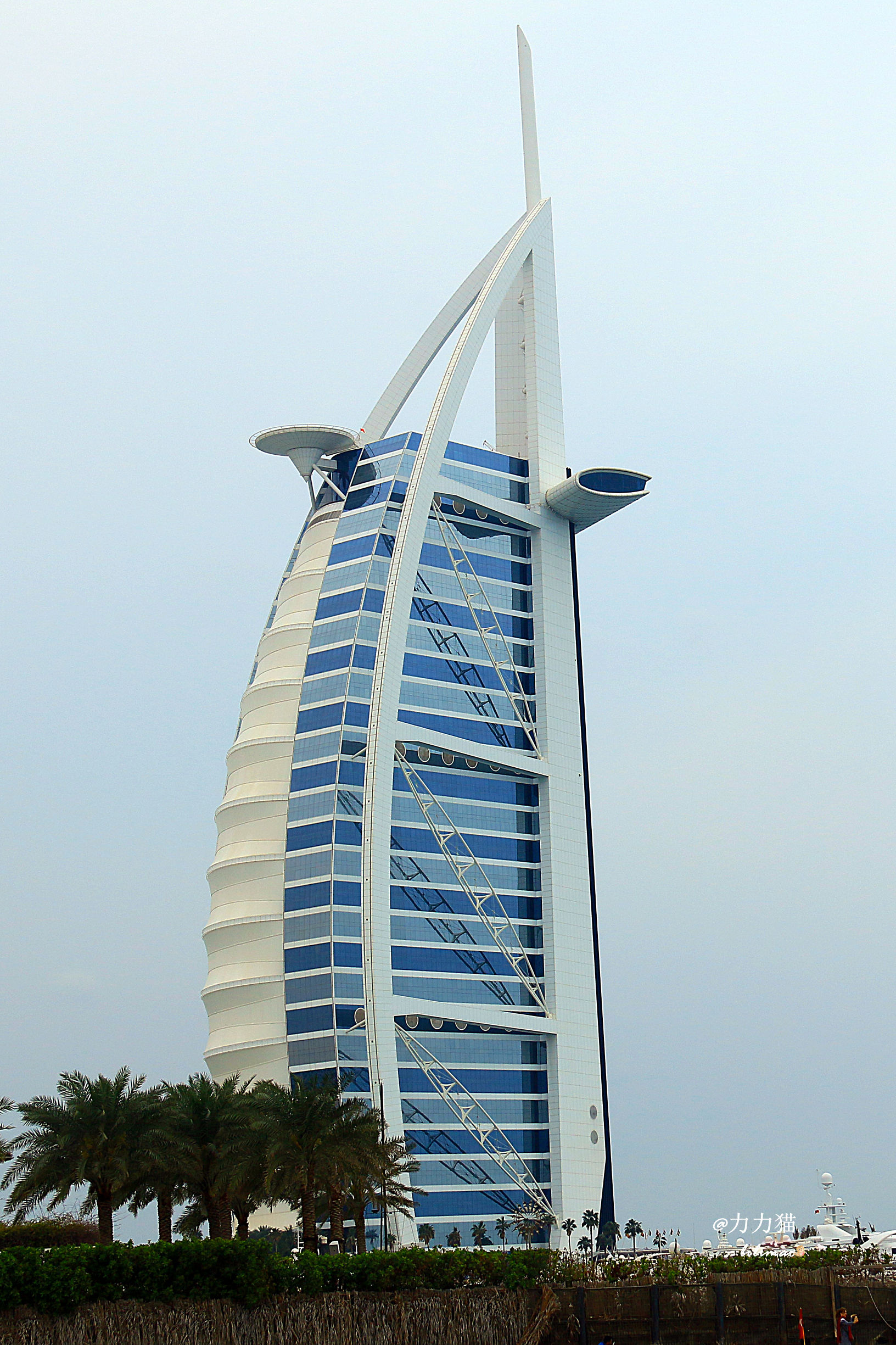 阿联酋：谁富有要看门口的树