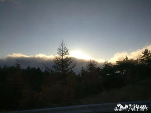 去日本旅游最新攻略,去日本旅游最详细攻略