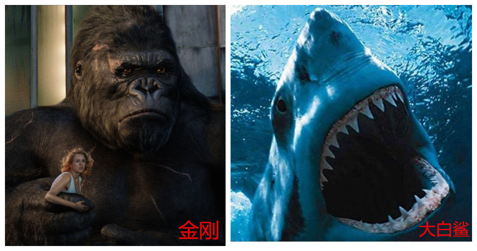 十部必看国产怪兽电影,盘点国产巨型怪兽电影