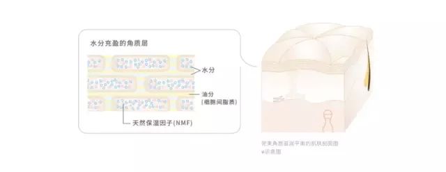 奥尔滨albion水乳,ALBION澳尔滨健康水
