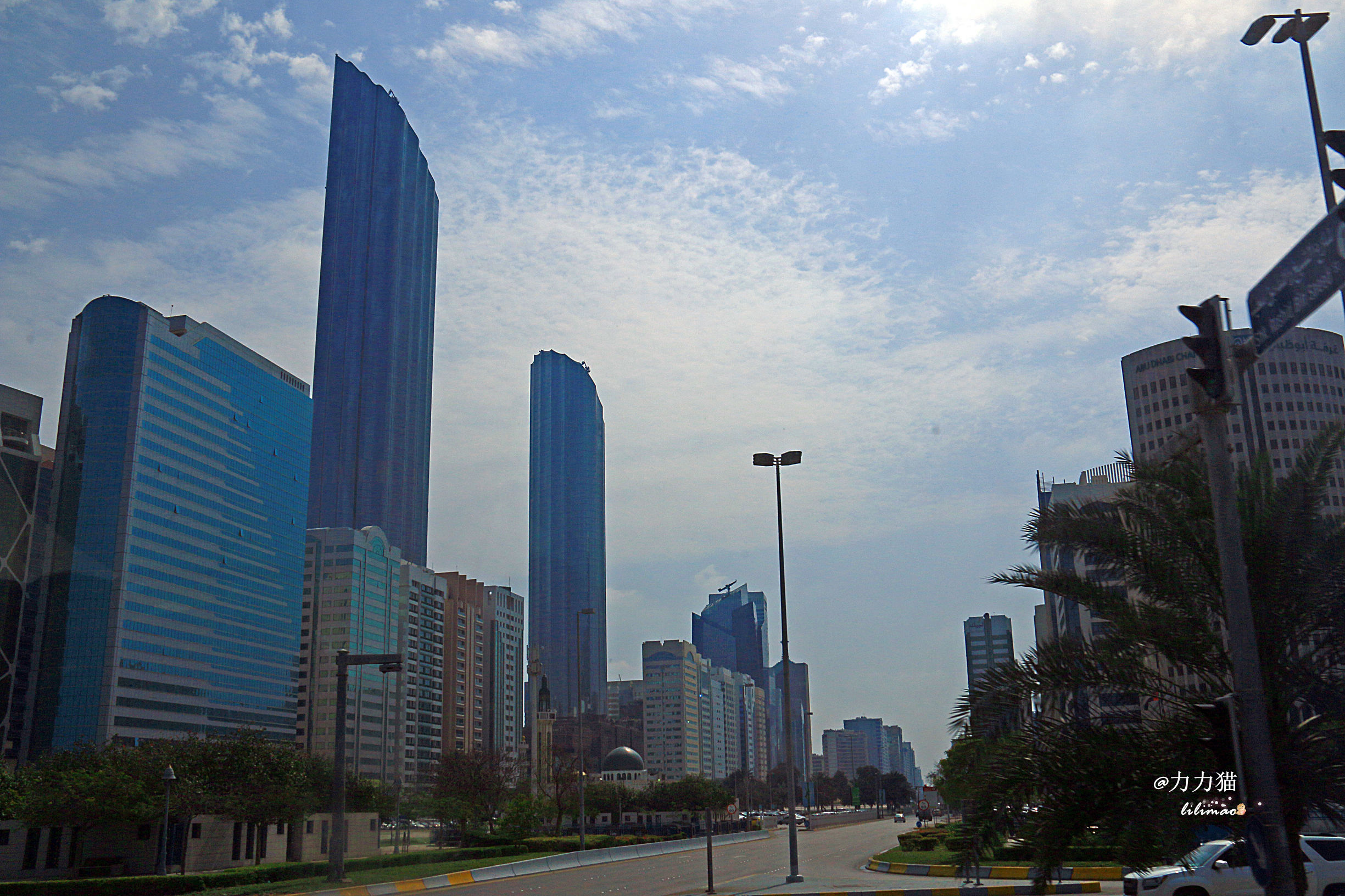 阿联酋：谁富有要看门口的树