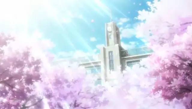 感恩樱花是爱情与希望的象征,樱花飘落的刹那胜过永恒的光辉