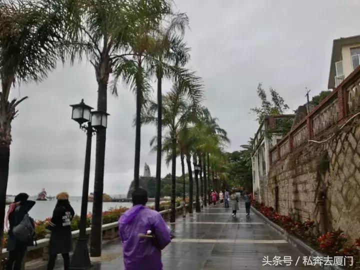 太任性！厦门即将热回夏天！速冻+升温随意切换，下周将迎26℃