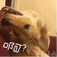 太任性！厦门即将热回夏天！速冻+升温随意切换，下周将迎26℃