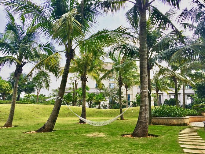 邂逅美丽椰城海口自由行攻略,海南岛自驾游摘椰子